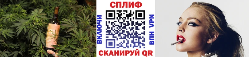 Canna-Cookies марихуана  Купить закладки  Новая Усмань 