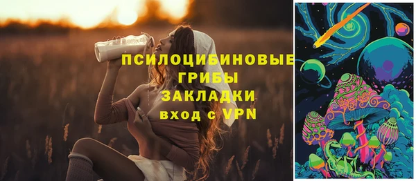 а пвп мука Арсеньев